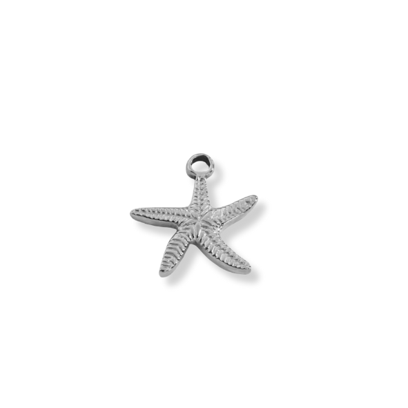 Small Starfish