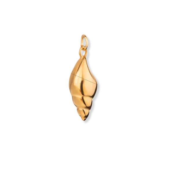 Large Cone Shell