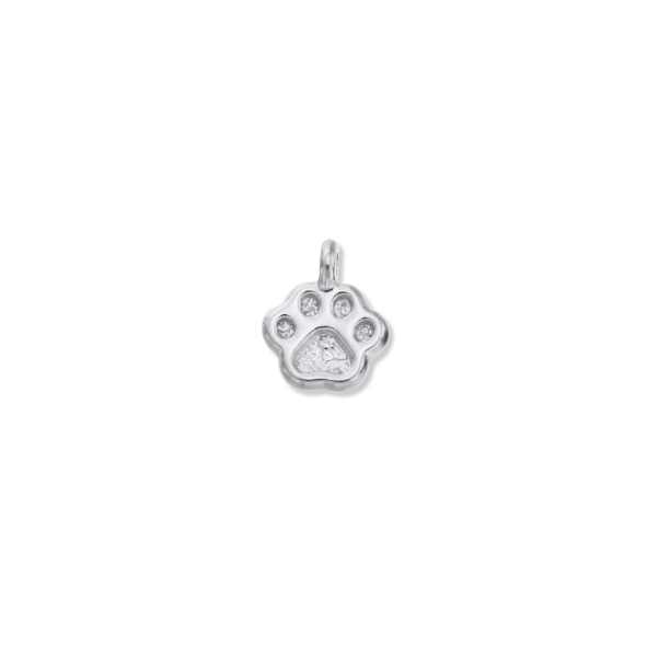 Paw