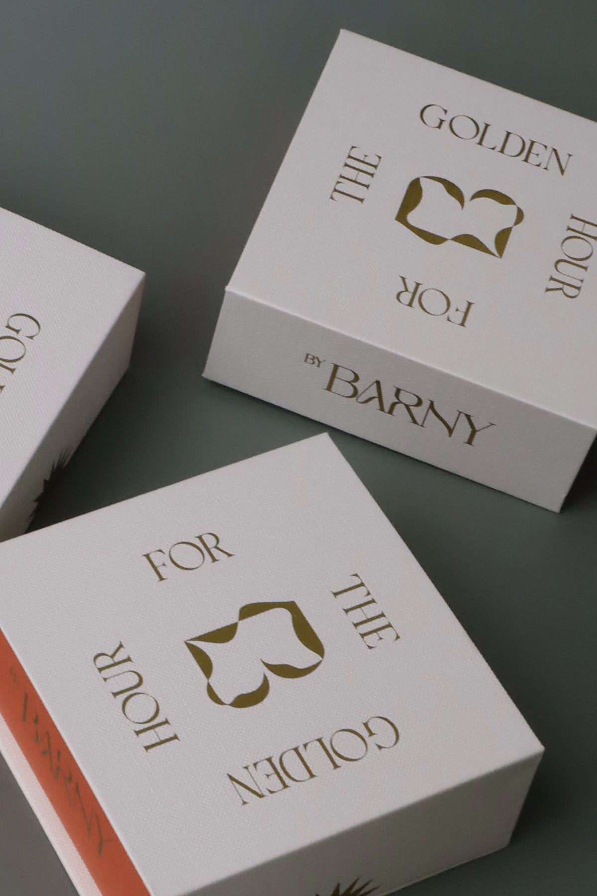 Daphney Earrings Silver