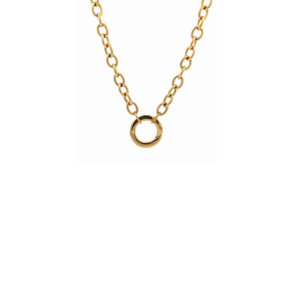 Darcy Gold