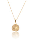 Capricorn Coin Necklace Gold