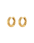 Theo Earrings in Gold