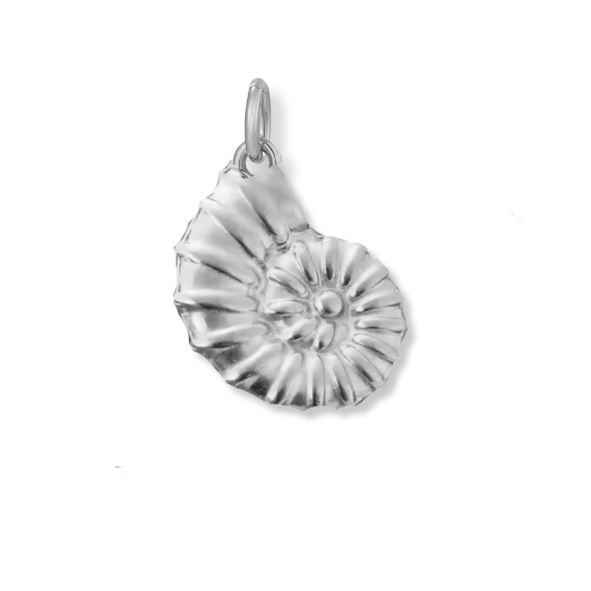 Necklace Silver Charms