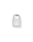 Latch & Lock Silver Charms