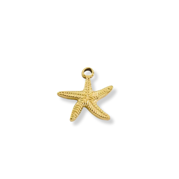 Small Starfish