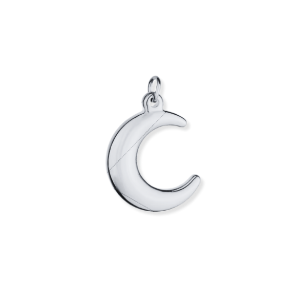 Latch &amp; Lock Silver Charms