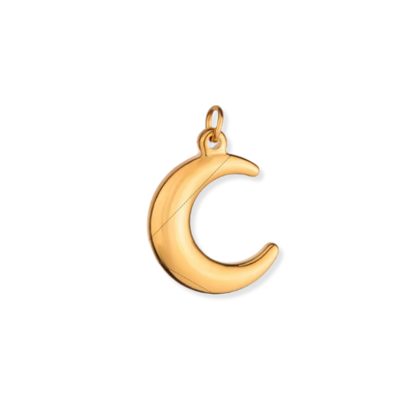 Latch &amp; Lock Charms Gold