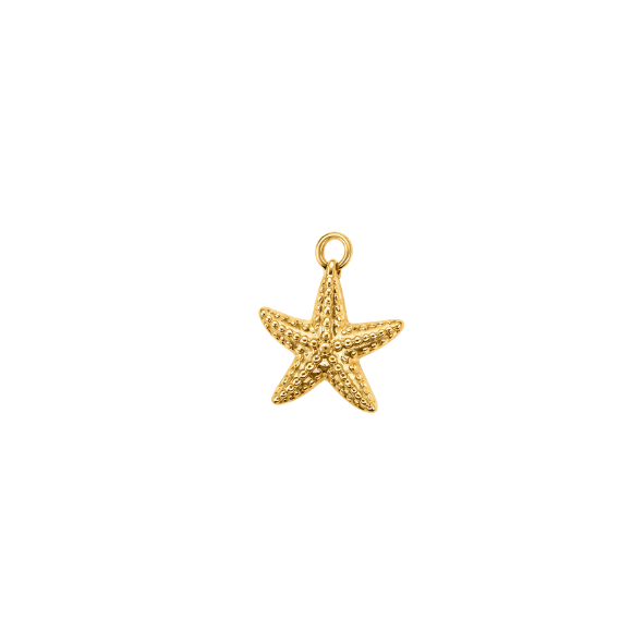 Small Starfish