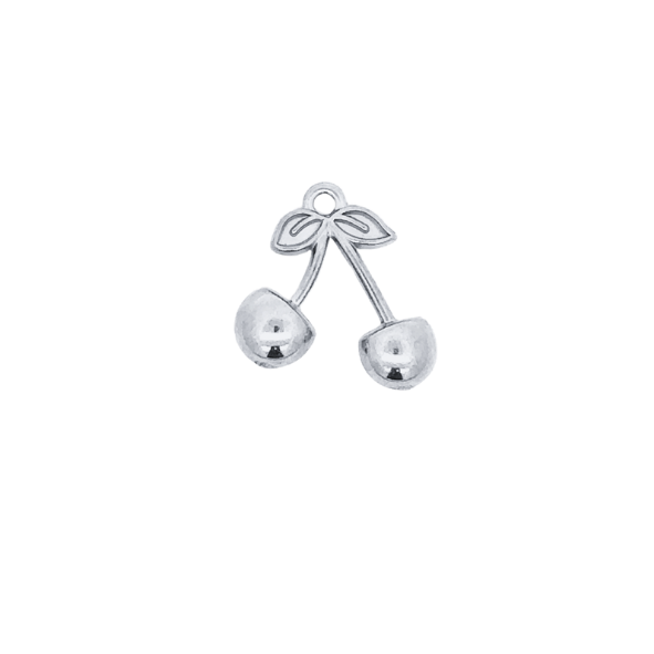 Latch &amp; Lock Silver Charms