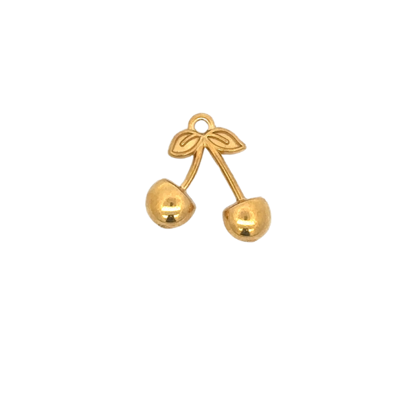 Latch &amp; Lock Charms Gold