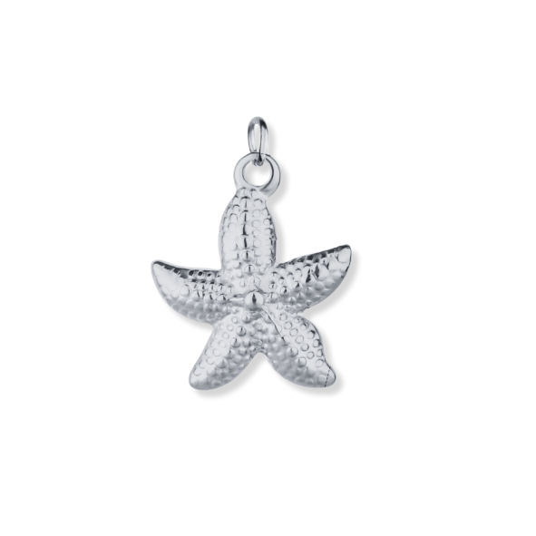 Latch &amp; Lock Silver Charms