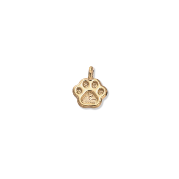 Paw