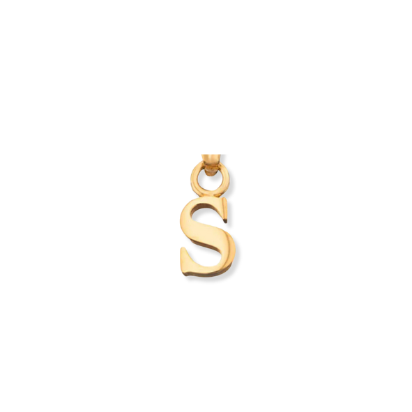 Lower Case s