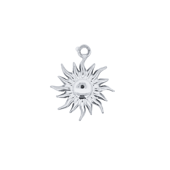 Latch &amp; Lock Silver Charms