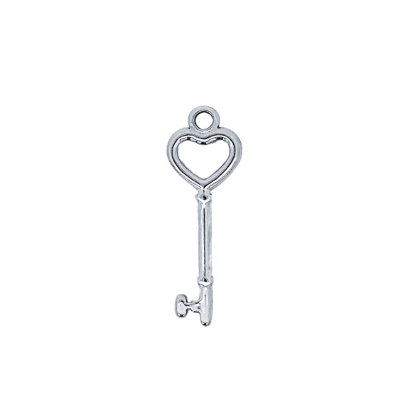 Latch &amp; Lock Silver Charms