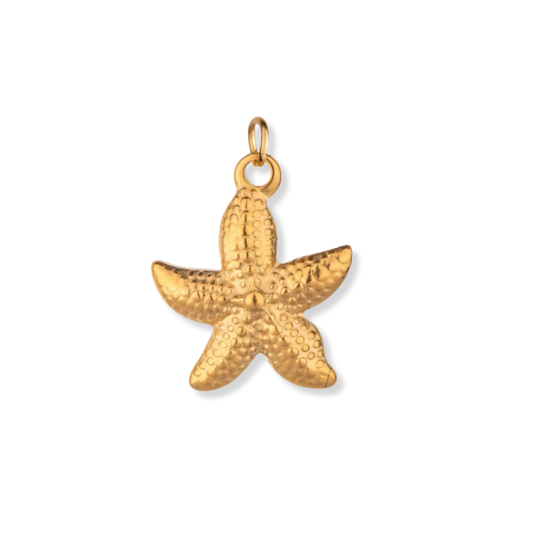 Latch &amp; Lock Charms Gold