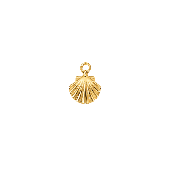 Small Clam Shell