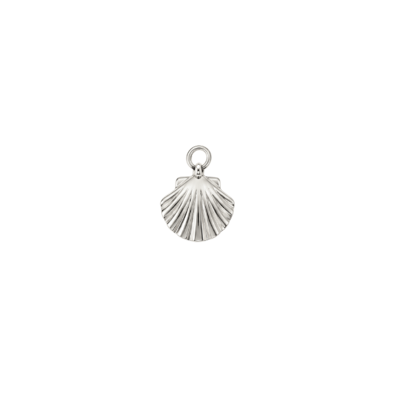 Small Clam Shell