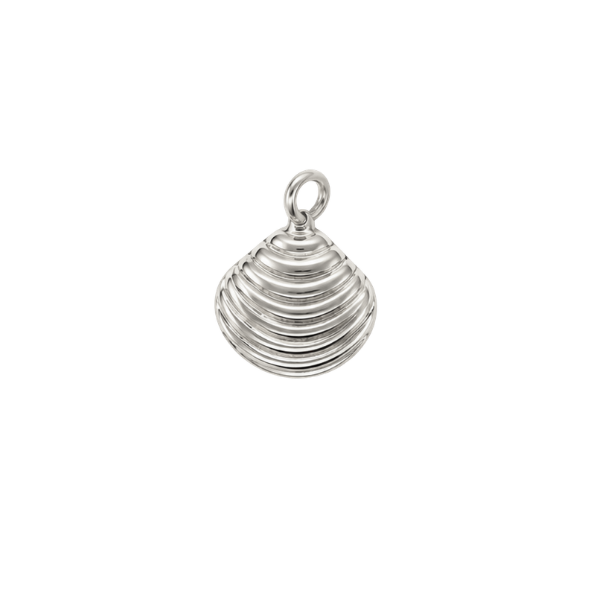 Scallop Shell