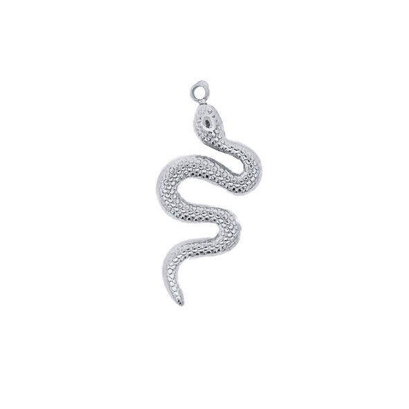 Latch &amp; Lock Silver Charms