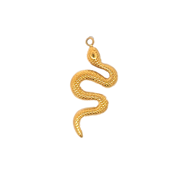 Latch &amp; Lock Charms Gold