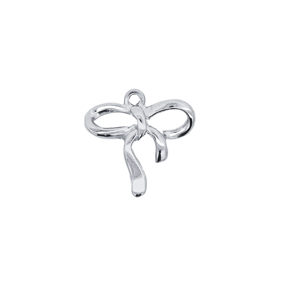 Latch &amp; Lock Silver Charms