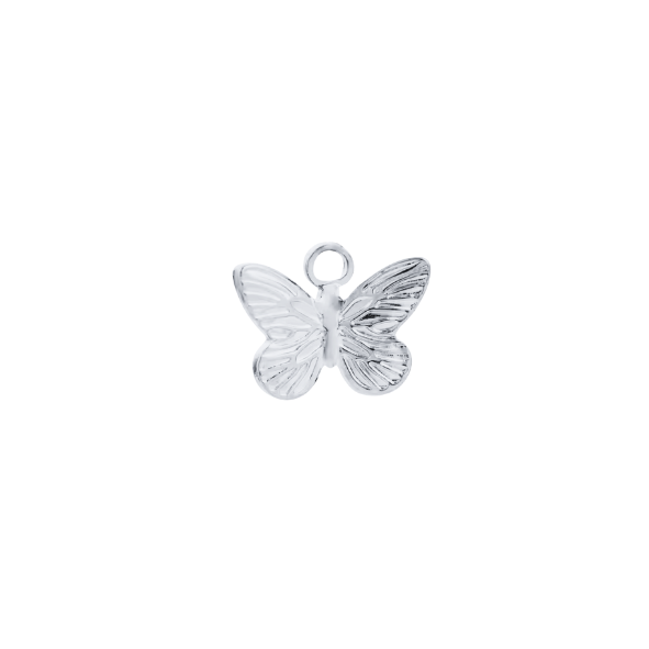 Latch &amp; Lock Silver Charms