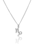 The Stacked Zodiac Necklace Silver