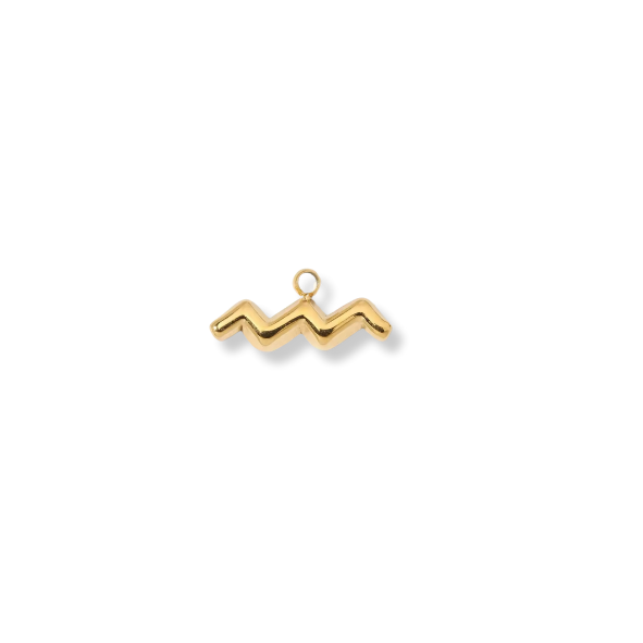 Zodiac Aquarius