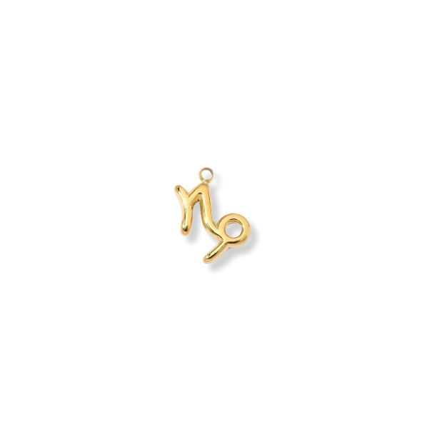 Zodiac Capricorn