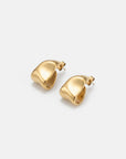 Hugo Earrings in Gold