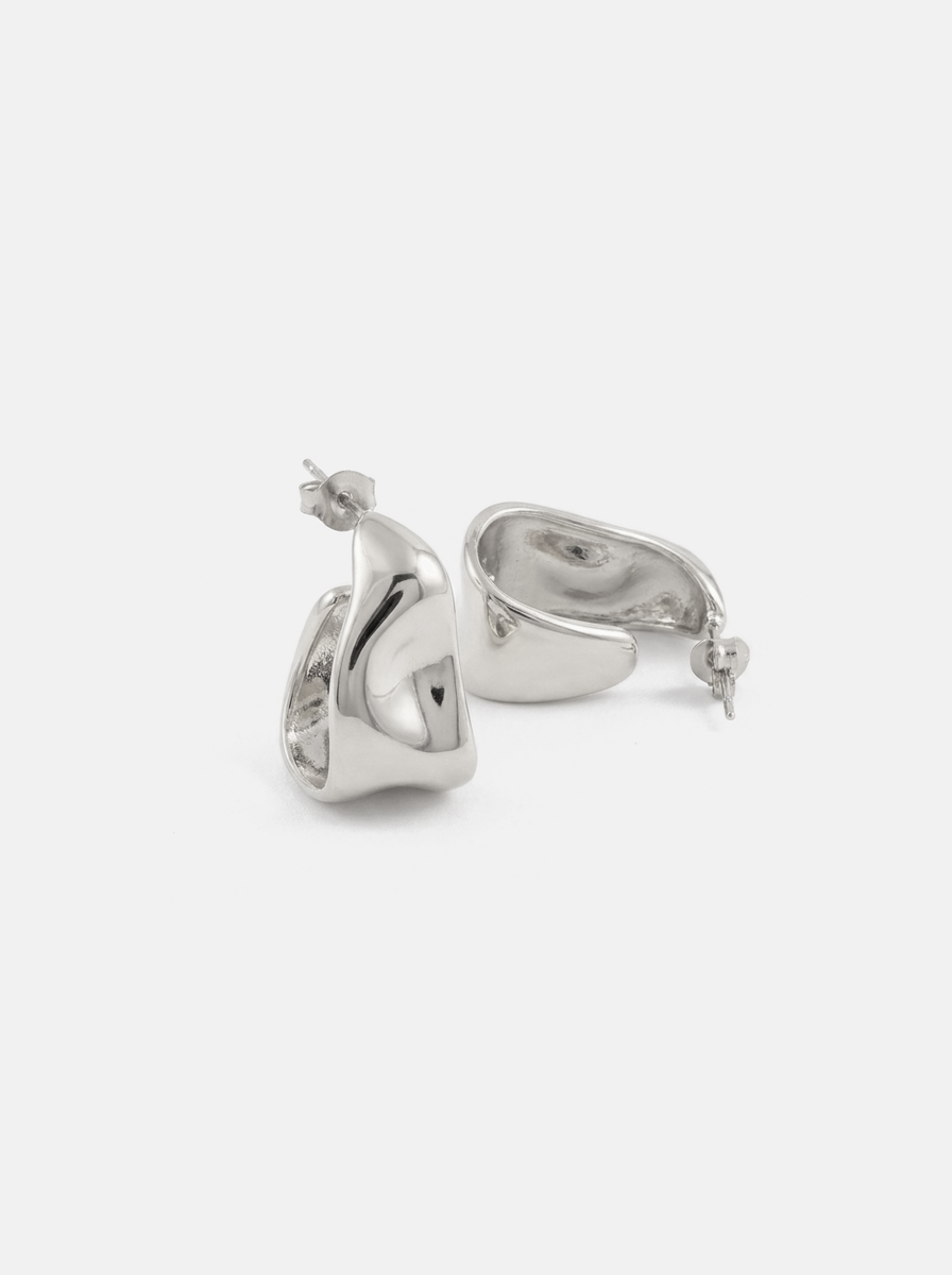 Hugo Earrings Silver