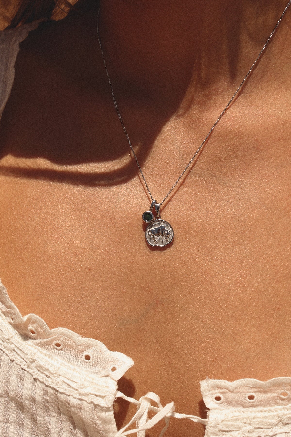 Taurus Coin Necklace With Your Birthstone Silver