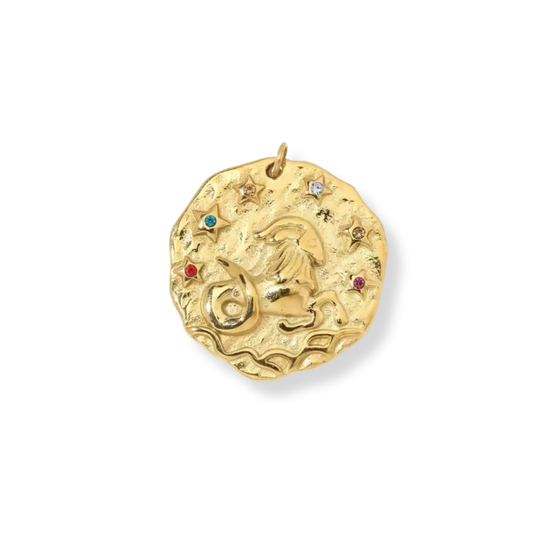 Zodiac Capricorn CZ
